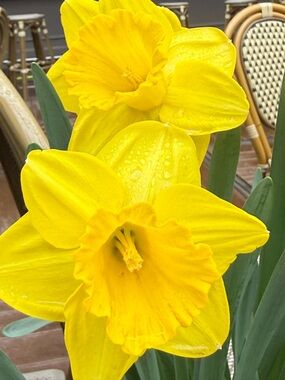 Meet your Posher, Kristen